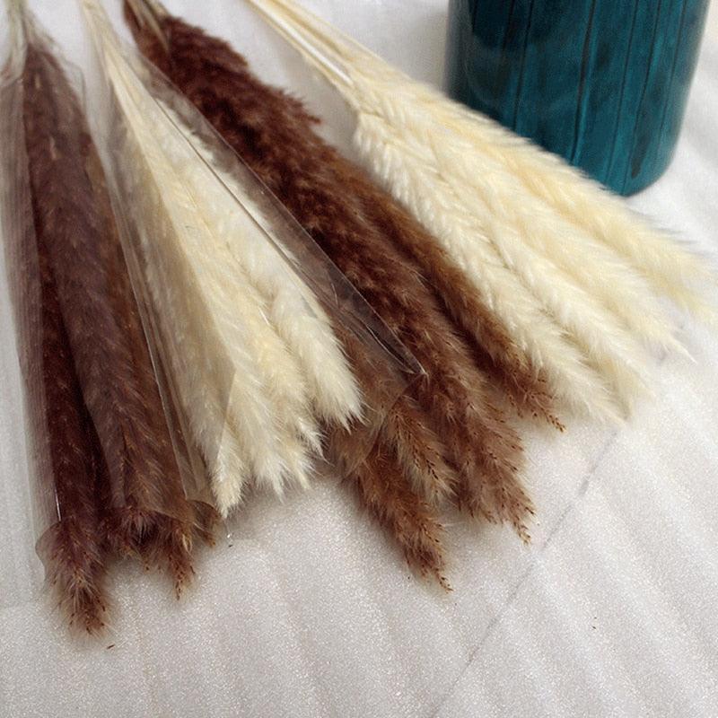 14pcs 7pcs Colorful Bulrush Grass Natural Dried Flowers Artificial Home Wedding Living Room Decoration Accessories Long Bouquet - ItemBear.com