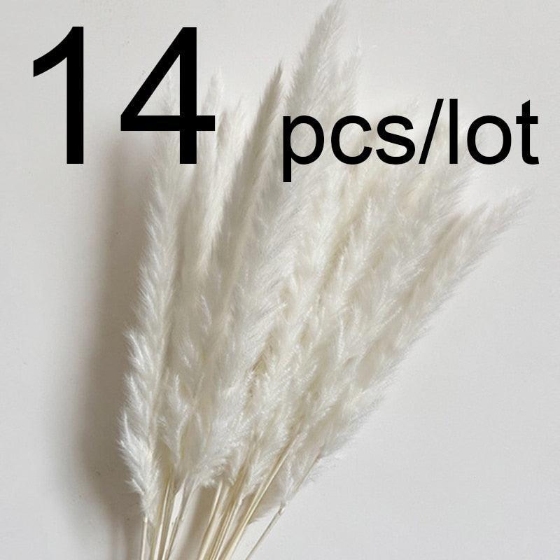 14pcs 7pcs Colorful Bulrush Grass Natural Dried Flowers Artificial Home Wedding Living Room Decoration Accessories Long Bouquet - ItemBear.com
