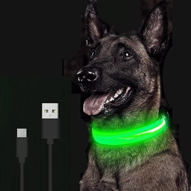 Adjustable LED Glowing Pet Collar - Premium from ItemBear.com - Just $18! Shop now at ItemBear.com