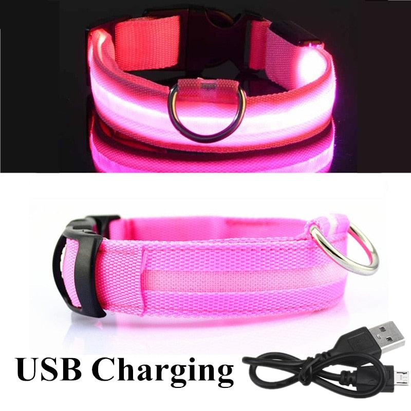 Adjustable LED Glowing Pet Collar - Premium from ItemBear.com - Just $18! Shop now at ItemBear.com