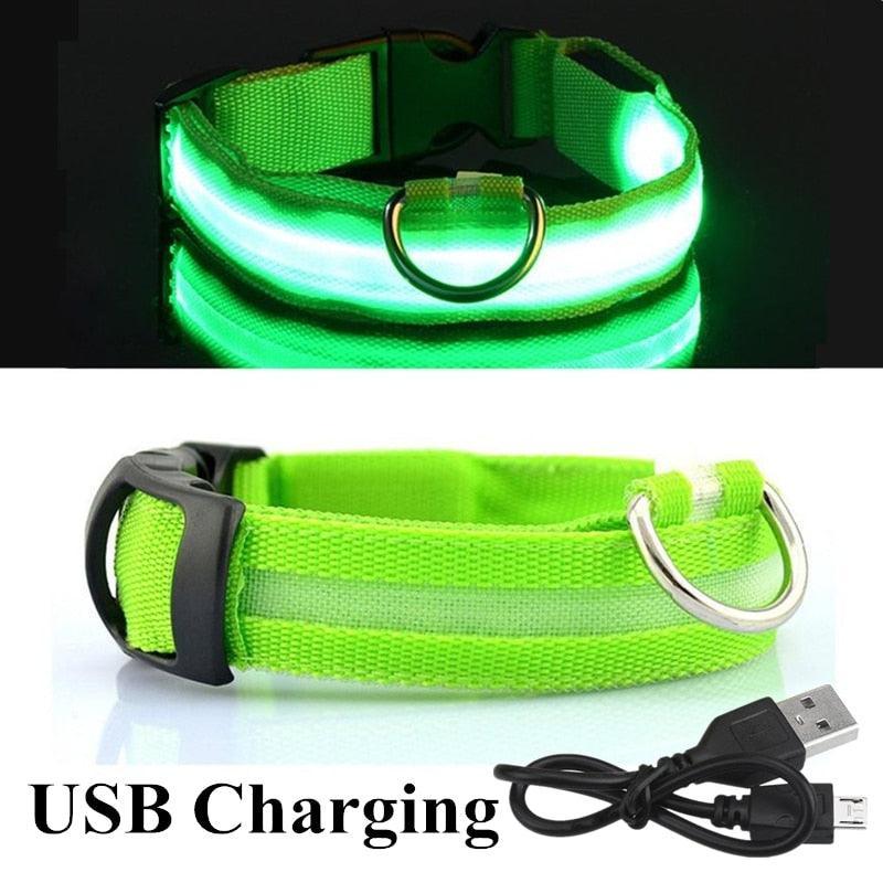 Adjustable LED Glowing Pet Collar - Premium from ItemBear.com - Just $18! Shop now at ItemBear.com