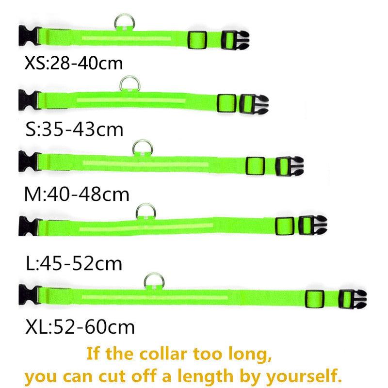 Adjustable LED Glowing Pet Collar - Premium from ItemBear.com - Just $18! Shop now at ItemBear.com