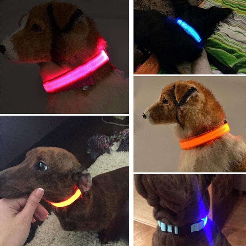Adjustable LED Glowing Pet Collar - Premium from ItemBear.com - Just $18! Shop now at ItemBear.com