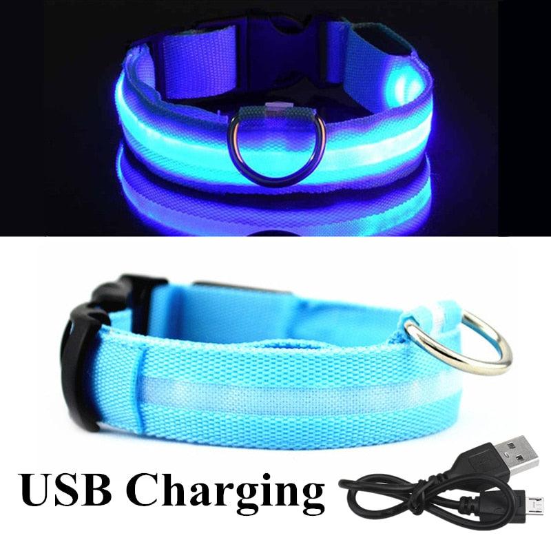 Adjustable LED Glowing Pet Collar - Premium from ItemBear.com - Just $18! Shop now at ItemBear.com