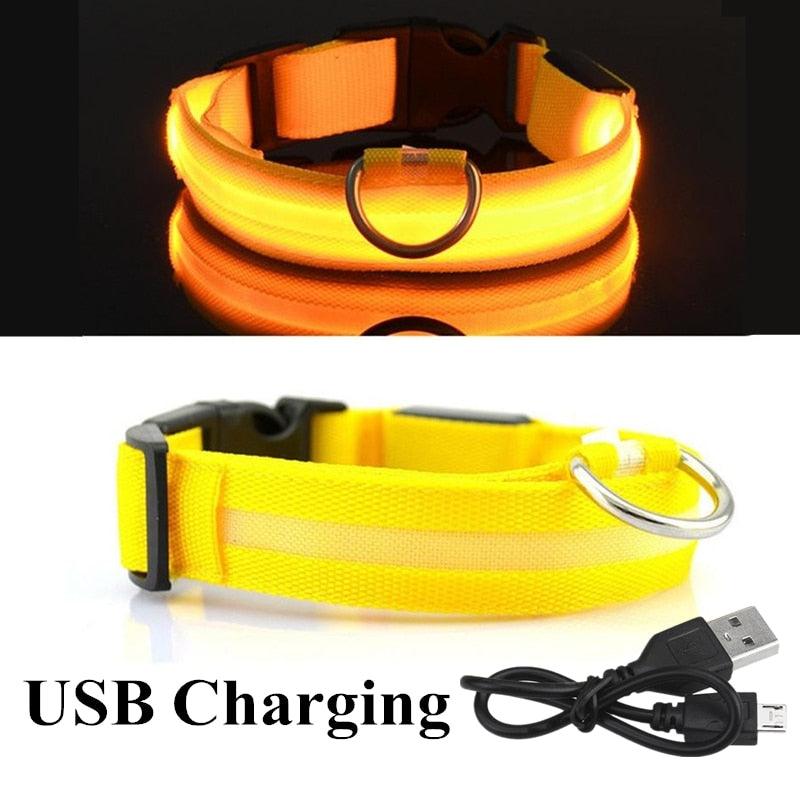 Adjustable LED Glowing Pet Collar - Premium from ItemBear.com - Just $18! Shop now at ItemBear.com