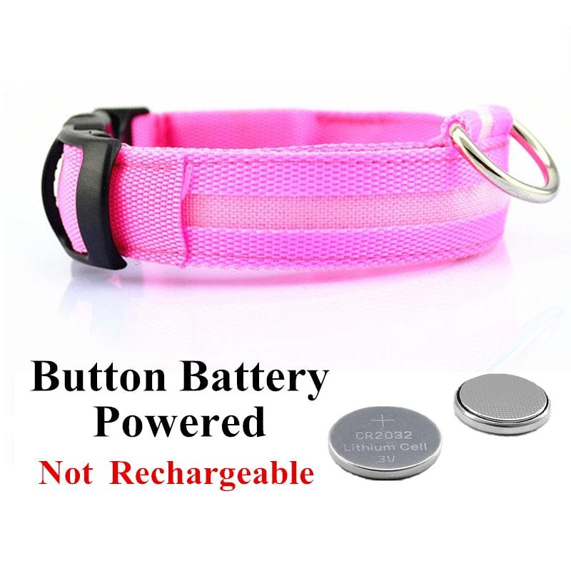 Adjustable LED Glowing Pet Collar - Premium from ItemBear.com - Just $18! Shop now at ItemBear.com