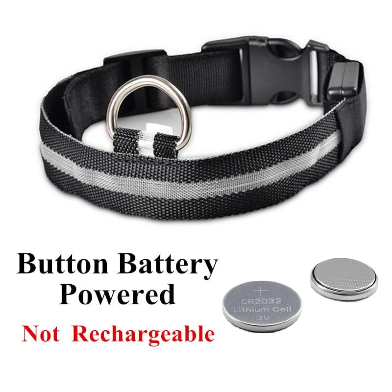 Adjustable LED Glowing Pet Collar - Premium from ItemBear.com - Just $18! Shop now at ItemBear.com