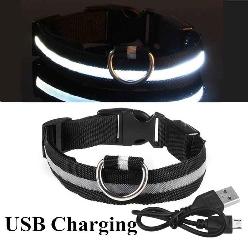 Adjustable LED Glowing Pet Collar - Premium from ItemBear.com - Just $18! Shop now at ItemBear.com