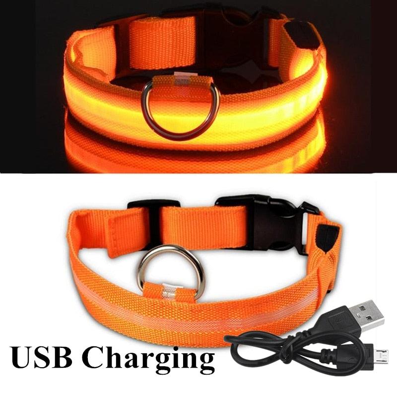 Adjustable LED Glowing Pet Collar - Premium from ItemBear.com - Just $18! Shop now at ItemBear.com