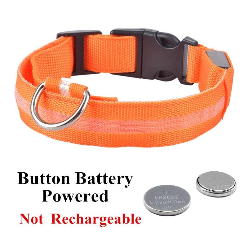 Adjustable LED Glowing Pet Collar - Premium from ItemBear.com - Just $18! Shop now at ItemBear.com
