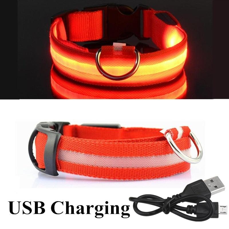 Adjustable LED Glowing Pet Collar - Premium from ItemBear.com - Just $18! Shop now at ItemBear.com