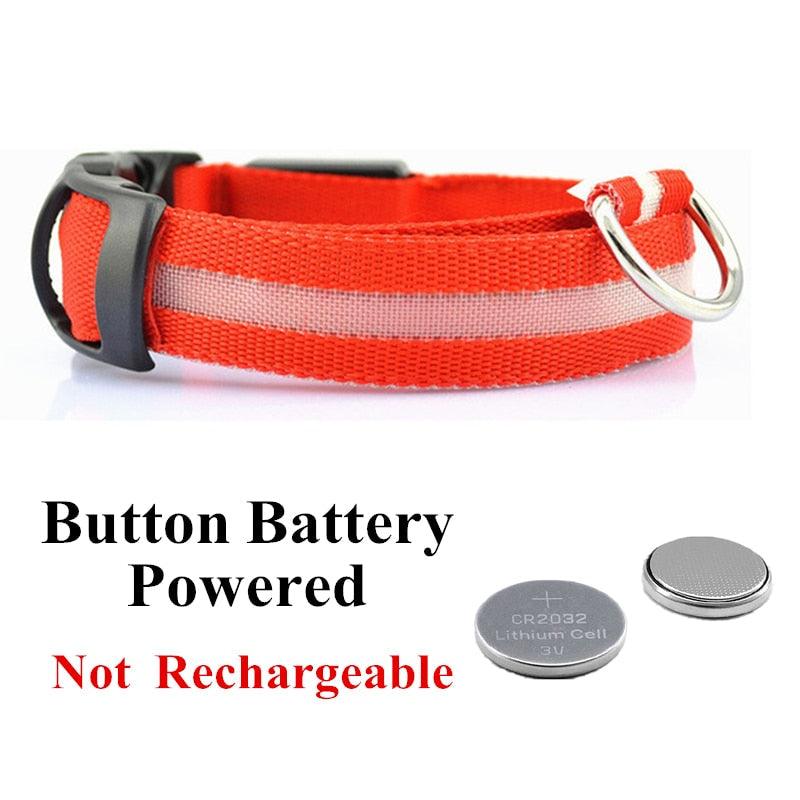 Adjustable LED Glowing Pet Collar - Premium from ItemBear.com - Just $18! Shop now at ItemBear.com