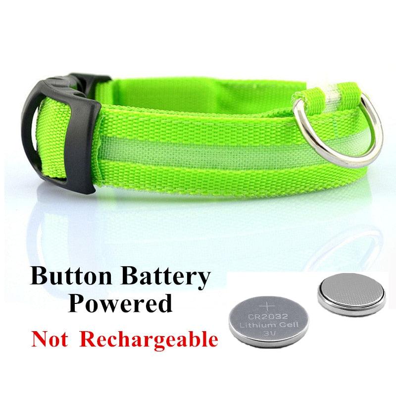 Adjustable LED Glowing Pet Collar - Premium from ItemBear.com - Just $18! Shop now at ItemBear.com