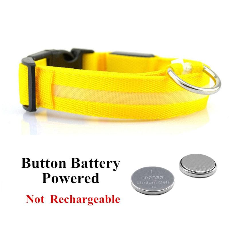 Adjustable LED Glowing Pet Collar - Premium from ItemBear.com - Just $18! Shop now at ItemBear.com