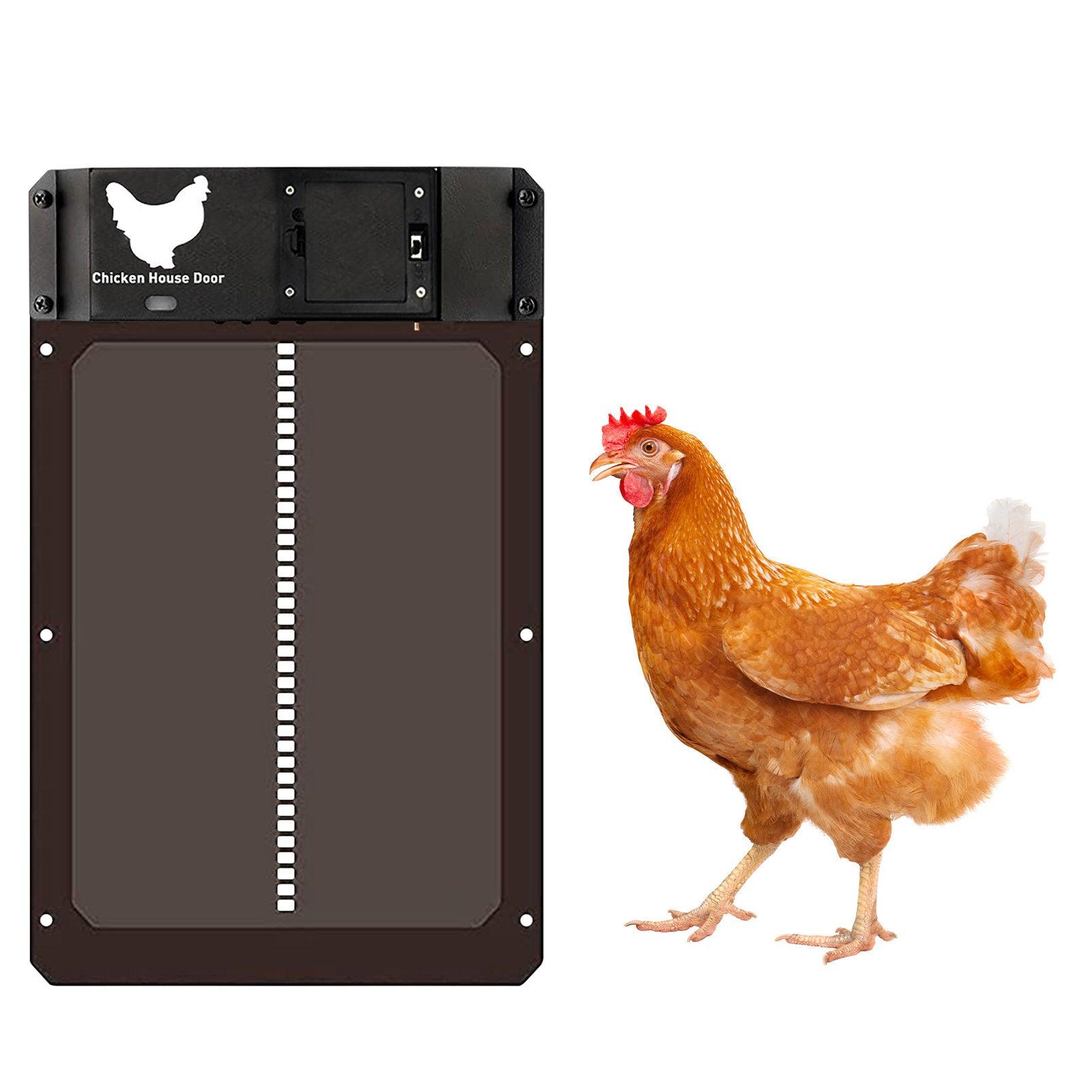 Automatic Chicken Coop Door - ItemBear.com