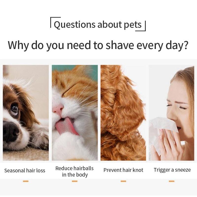 Cat Grooming Brush - ItemBear.com