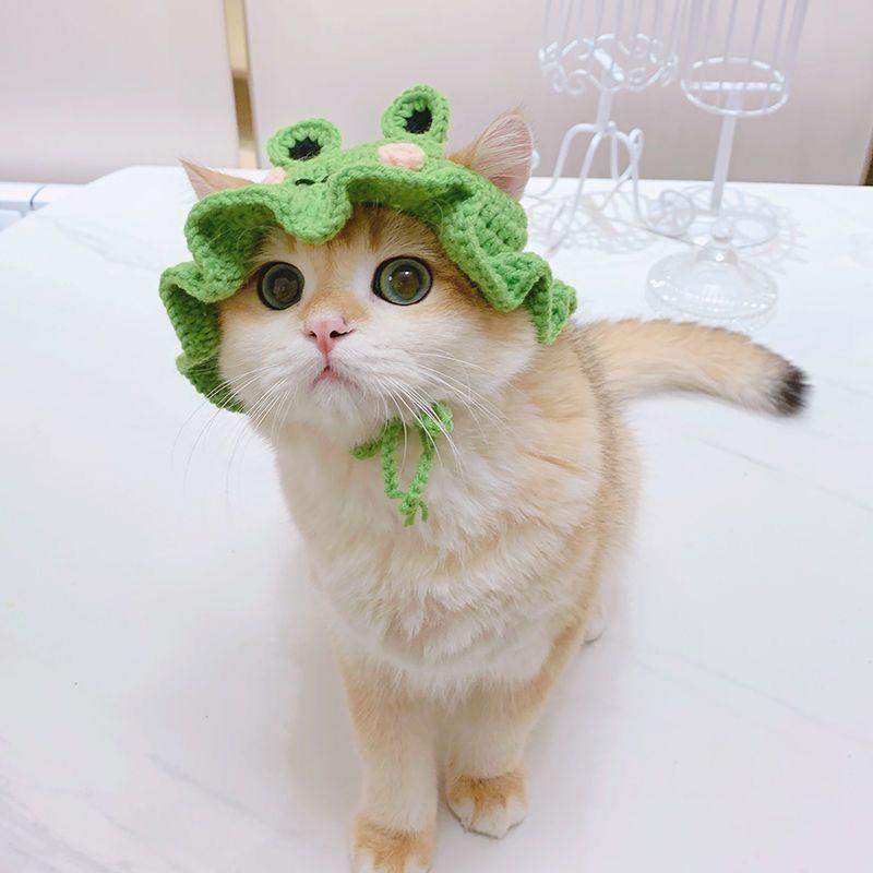 Cat Hat Pet Dress Up Hat Teddy Dog Frog Flower Ruffled Maid Hat Pet New Year Wool Hat - ItemBear.com
