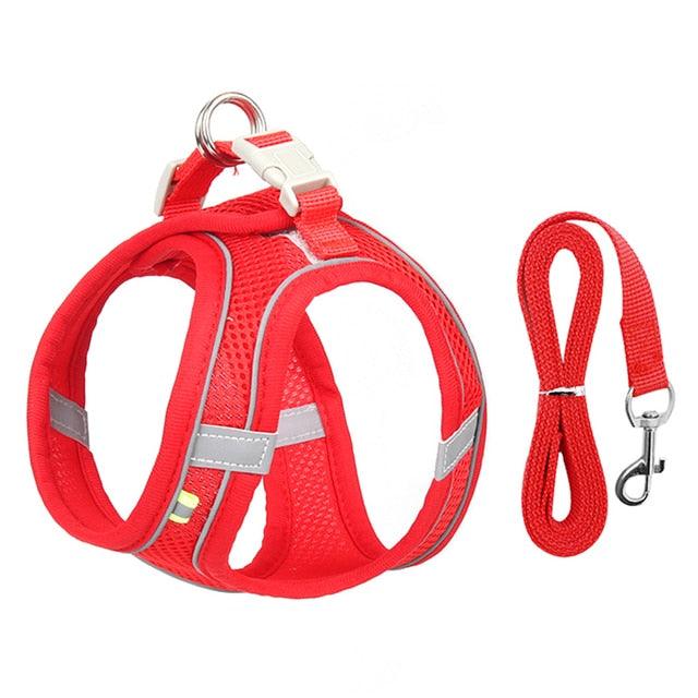 Dog Harness Leash Set for Small Dogs - ItemBear.com