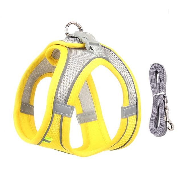 Dog Harness Leash Set for Small Dogs - ItemBear.com