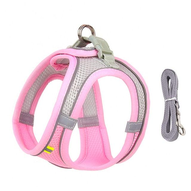 Dog Harness Leash Set for Small Dogs - ItemBear.com