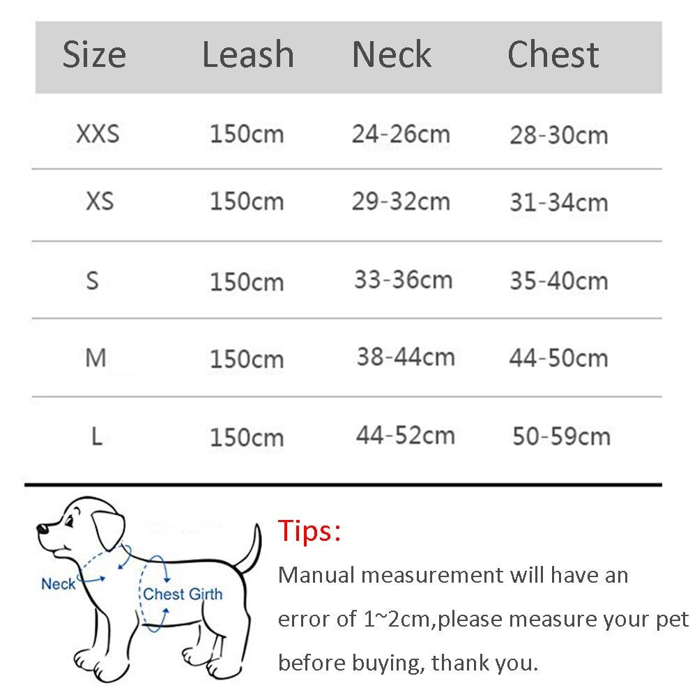 Dog Harness Leash Set for Small Dogs - ItemBear.com
