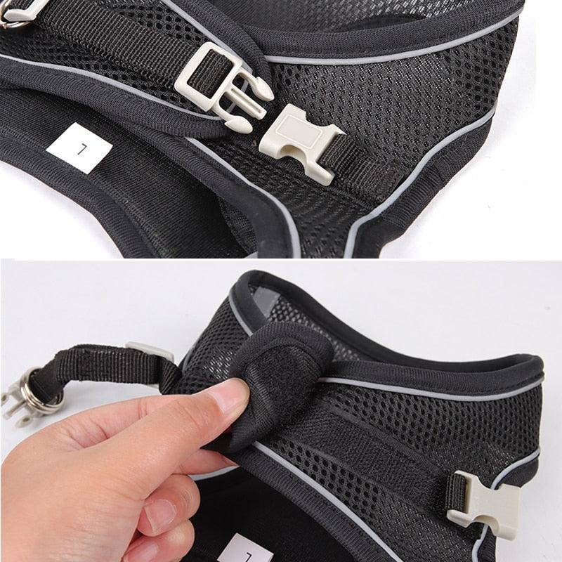 Dog Harness Leash Set for Small Dogs - ItemBear.com