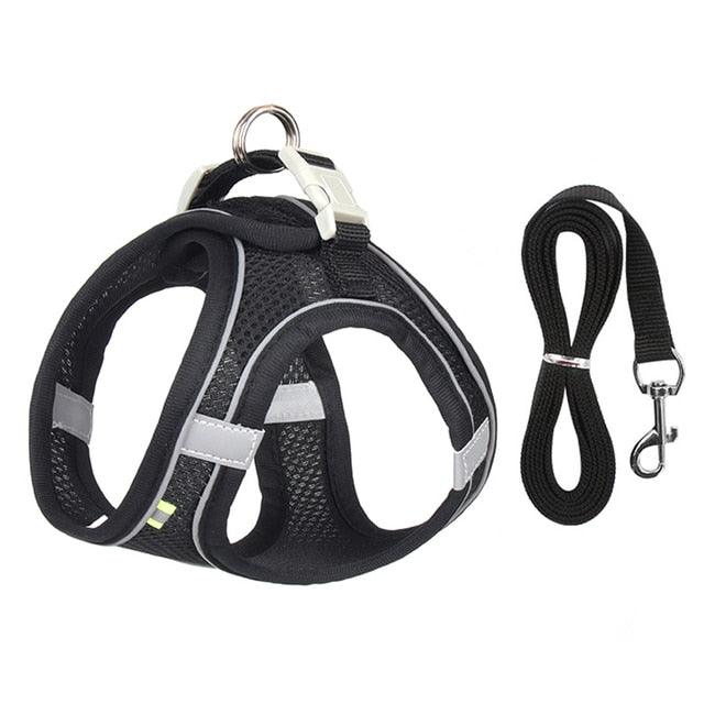 Dog Harness Leash Set for Small Dogs - ItemBear.com