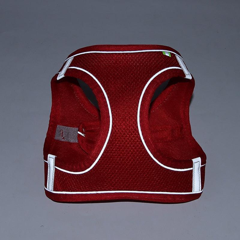 Dog Harness Leash Set for Small Dogs - ItemBear.com