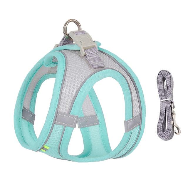 Dog Harness Leash Set for Small Dogs - ItemBear.com