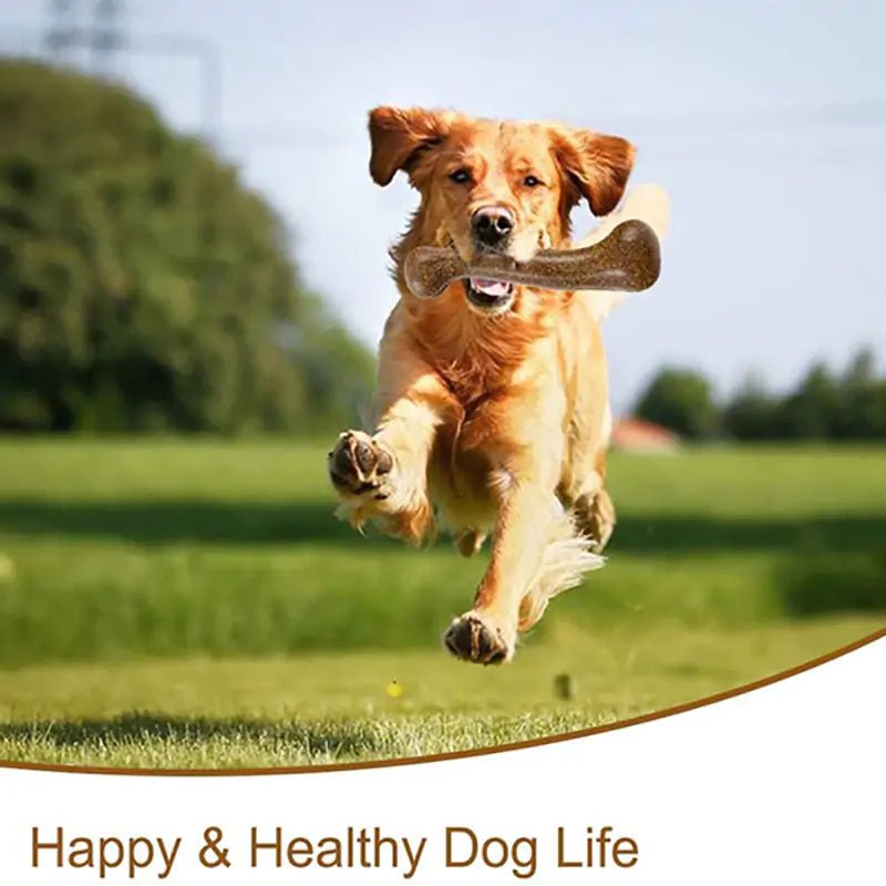 Dogs Tough Bone Chew Toys - ItemBear.com