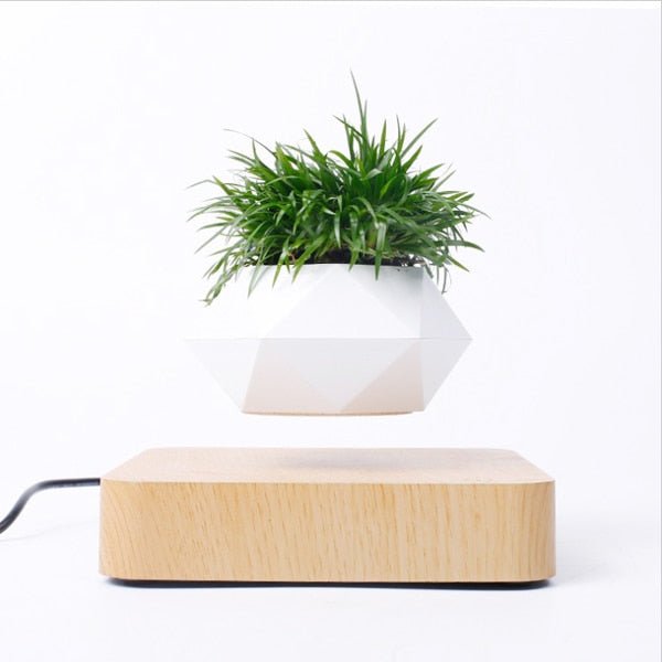 Levitating Air Bonsai Pot - ItemBear.com