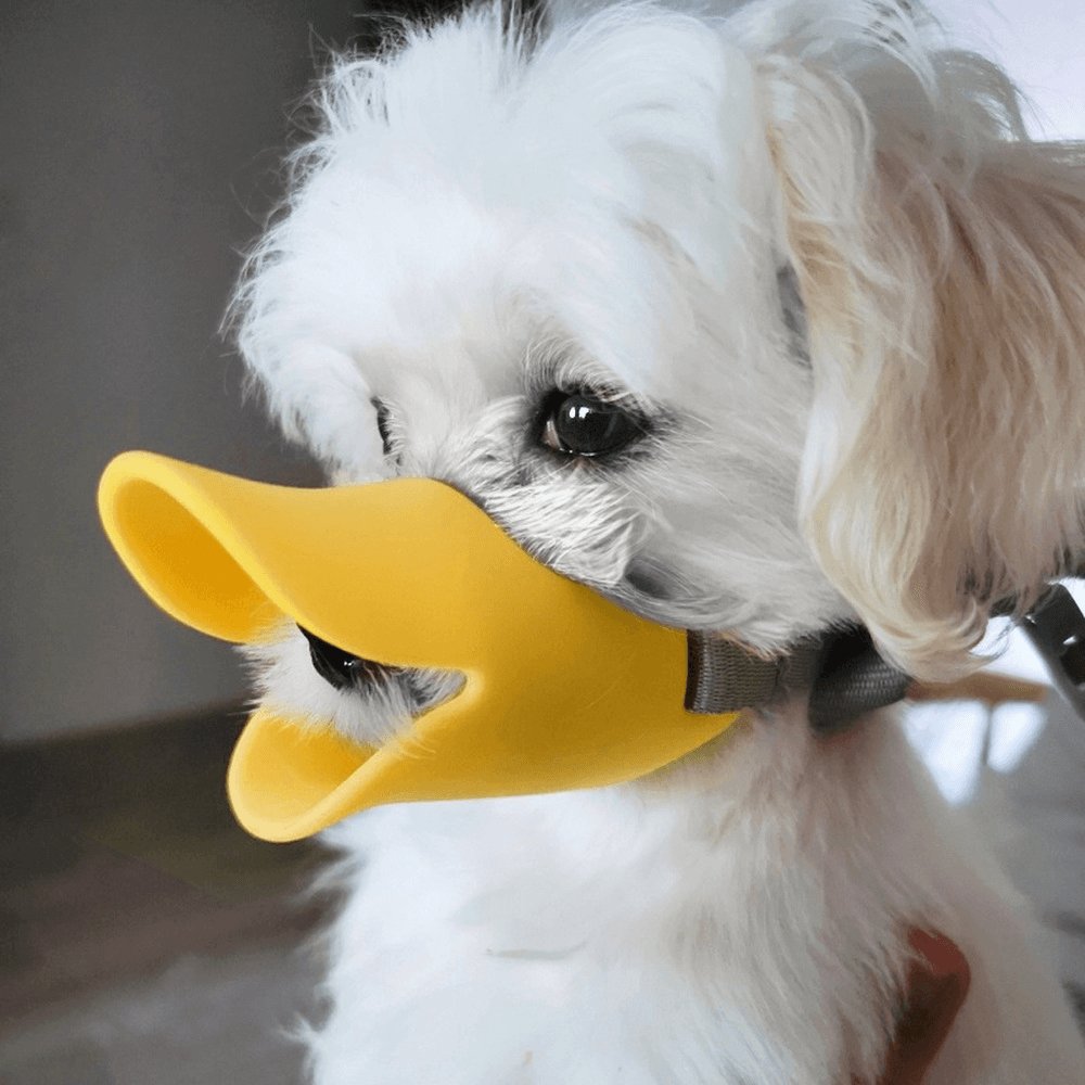 Pet Muzzle - ItemBear.com