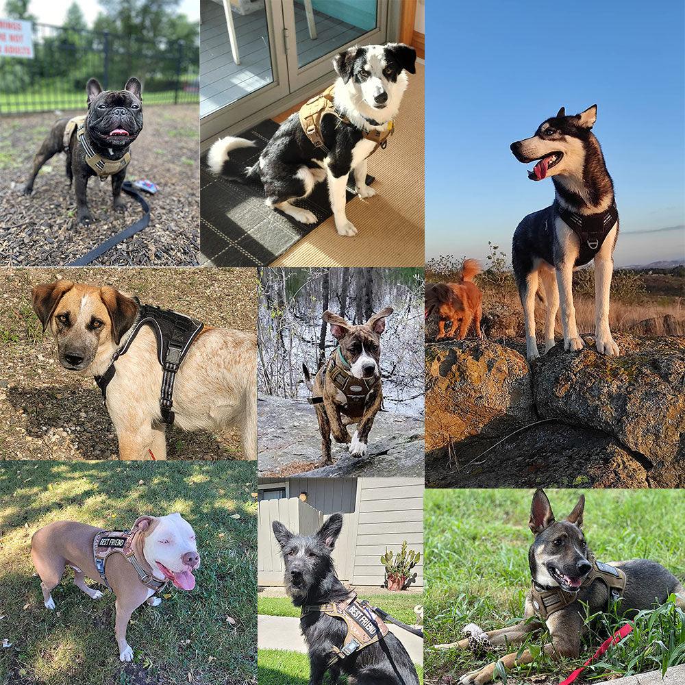 Reflective Tactical Harness For Large Small Dogs Training Vest Leash - ItemBear.com