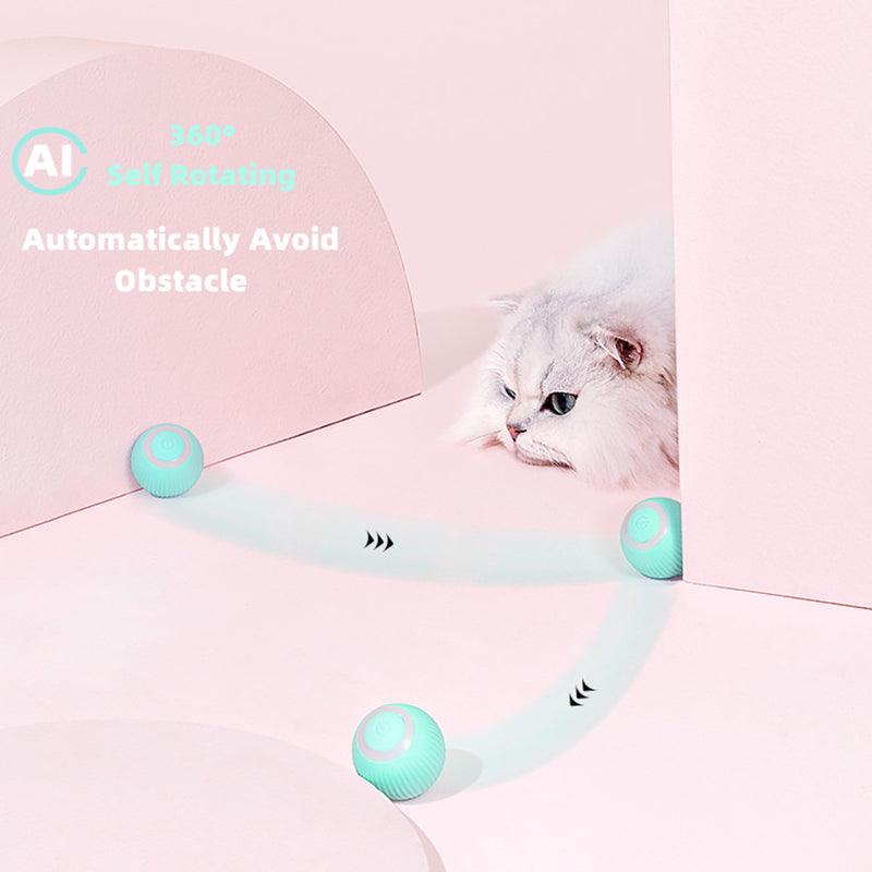 Smart Cat Ball Toys - ItemBear.com