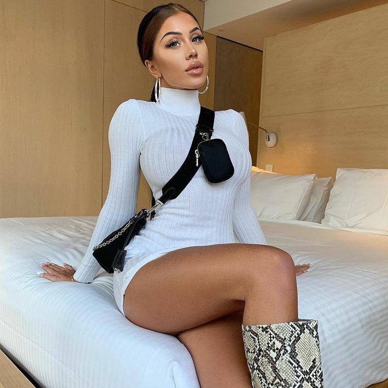 Victoria Ribbed Turtleneck Mini Dress - ItemBear.com