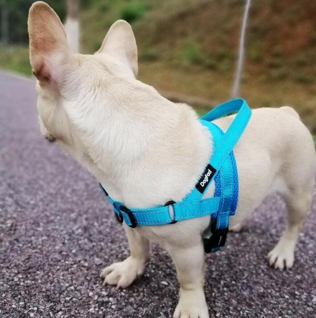 Adjustable Dog Harness - ItemBear.com