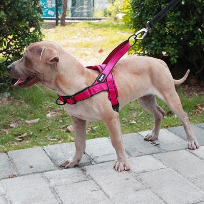 Adjustable Dog Harness - ItemBear.com