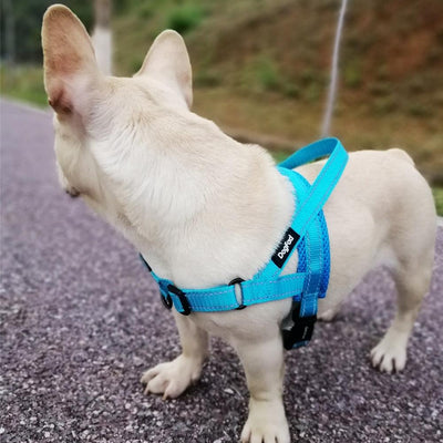 Adjustable Dog Harness - ItemBear.com