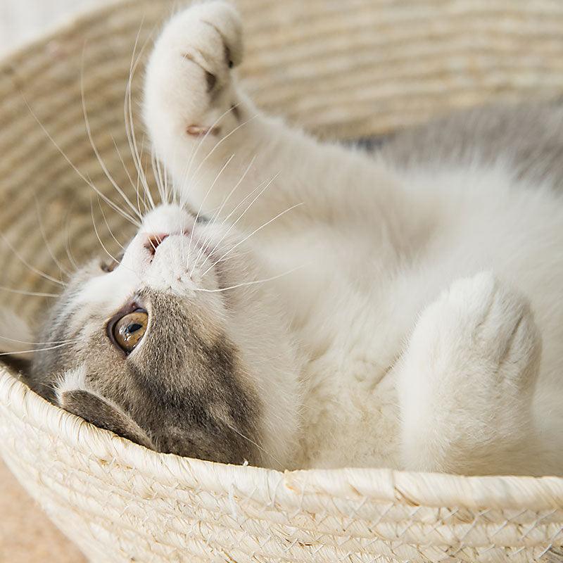 Cat Straw Bed - ItemBear.com