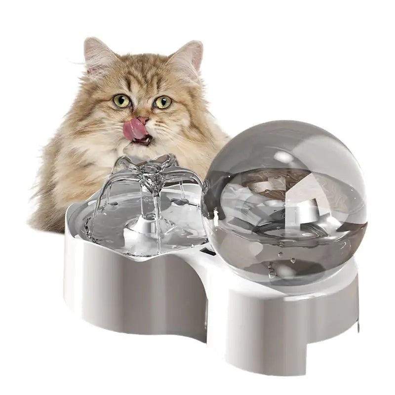 Cats and Dogs Bowl - ItemBear.com