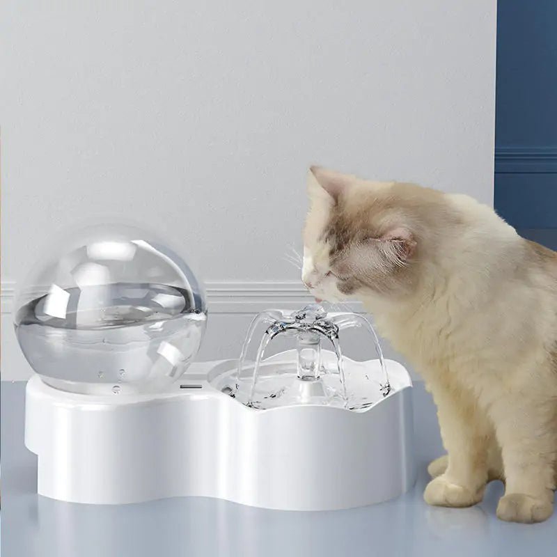 Cats and Dogs Bowl - ItemBear.com
