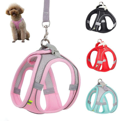 Dog Harness Leash Set for Small Dogs - ItemBear.com