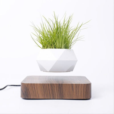 Levitating Air Bonsai Pot - ItemBear.com