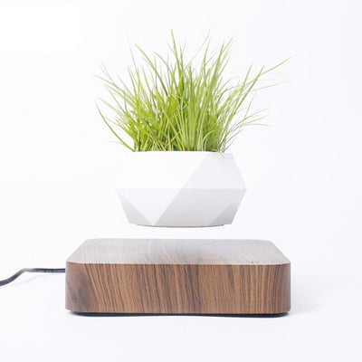 Levitating Air Bonsai Pot - ItemBear.com