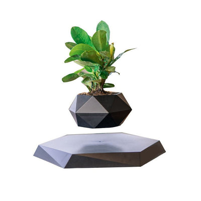 Levitating Air Bonsai Pot - ItemBear.com