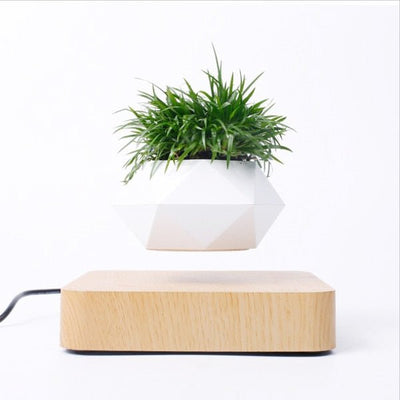 Levitating Air Bonsai Pot - ItemBear.com