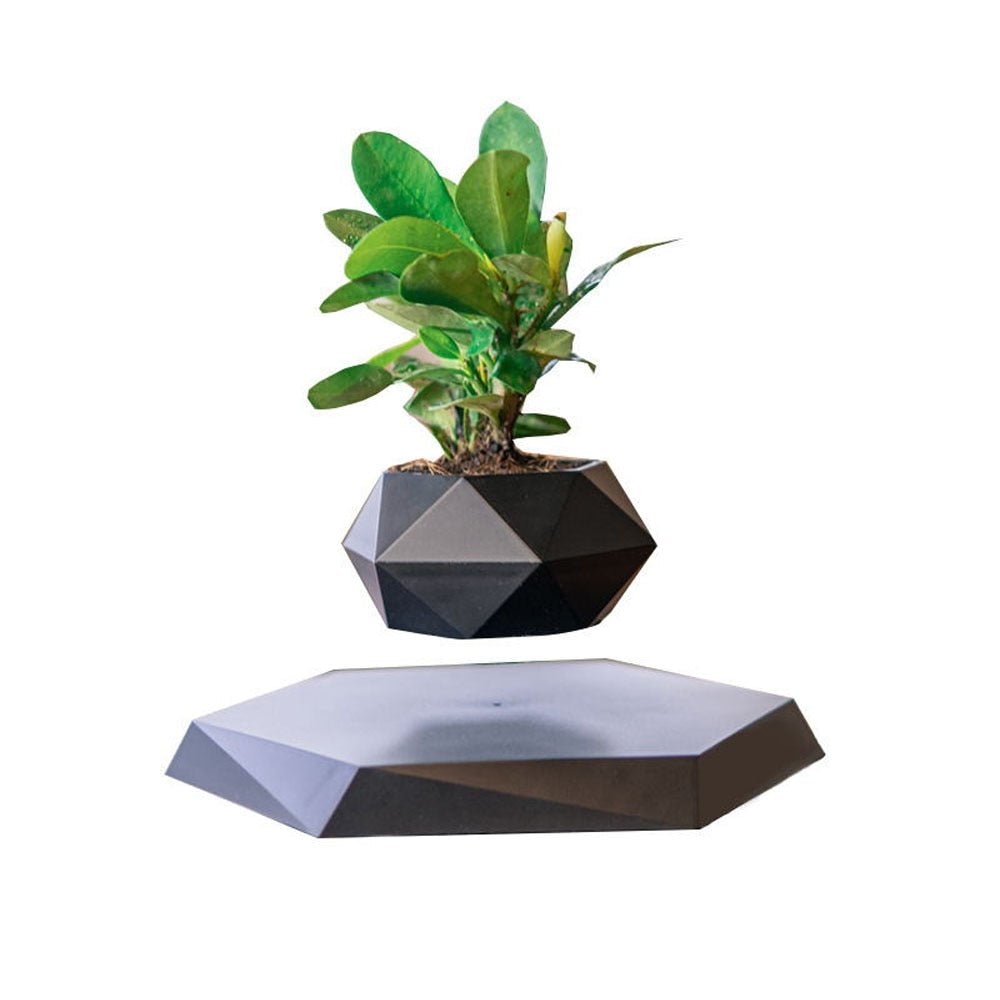 Levitating Air Bonsai Pot - ItemBear.com