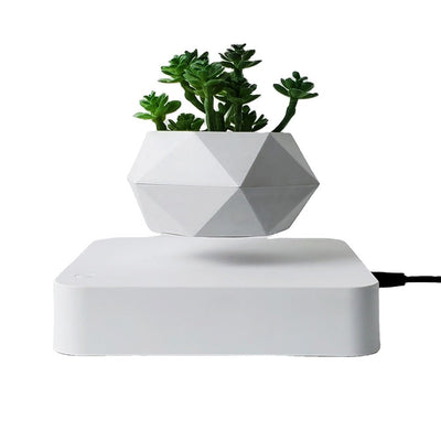 Levitating Air Bonsai Pot - ItemBear.com