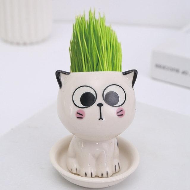 Mini Cat Shaped Cartoon Ceramic Flowerpot - ItemBear.com