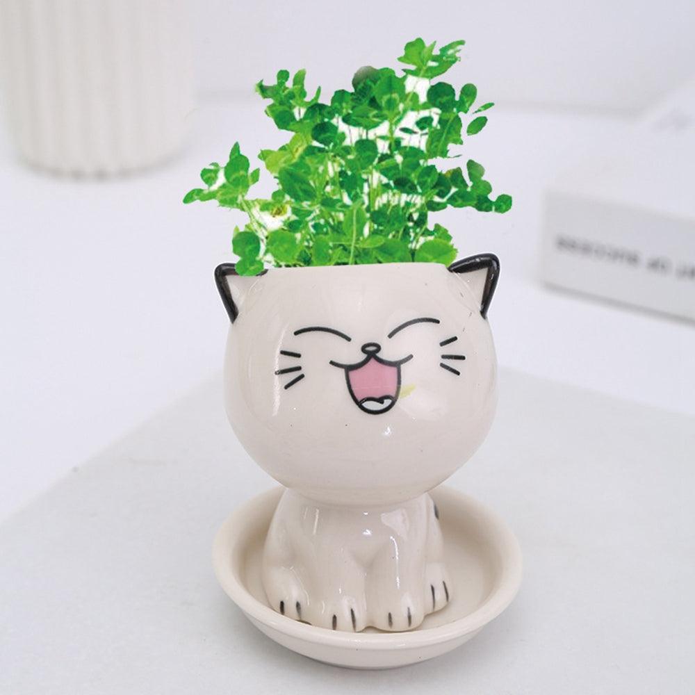 Mini Cat Shaped Cartoon Ceramic Flowerpot - ItemBear.com